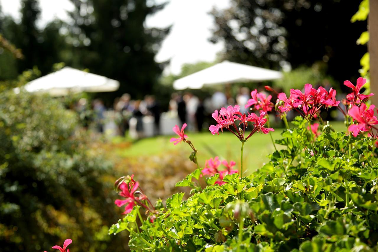 Albergo Ristorante Belvedere Tricesimo ภายนอก รูปภาพ